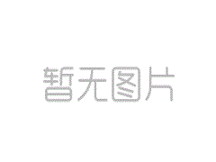 “扬贡的六个美女”感谢闭门后面的客人，并进